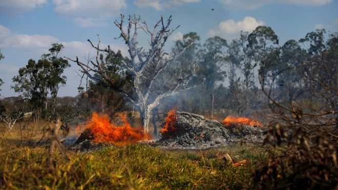 BBC imagen - Incendios en el Amazonas - Diario Puerto Varas