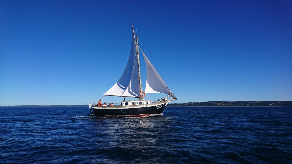 “M – Elizabeth” lancha chilota a vela tradicional - Diario Puerto Varas