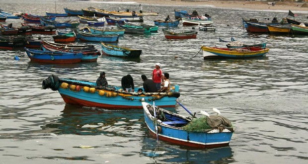 Pesca artesanal de merluza - Diario Puerto Varas