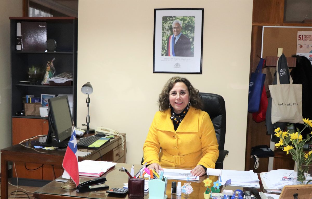 Columna de opinión Por Ingrid Schettino Seremi de Gobierno Región de Los Lagos - Diario Puerto Varas