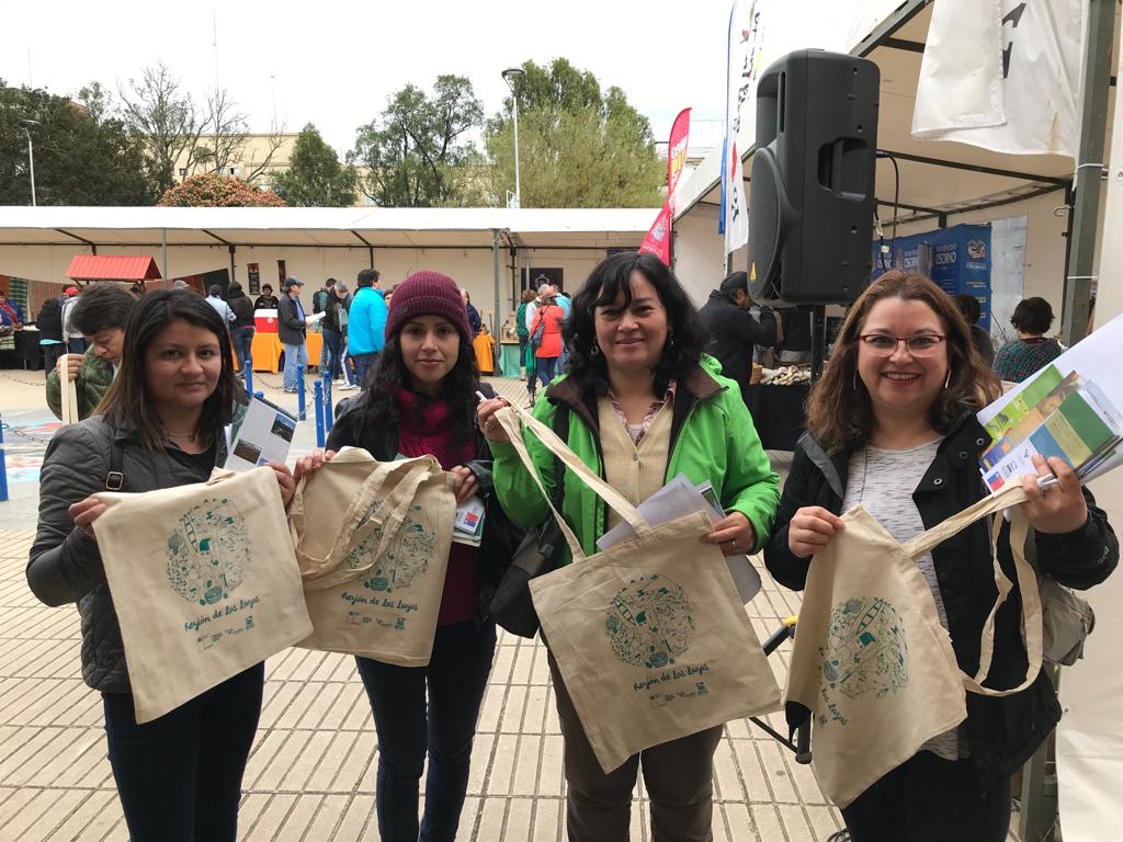 Celebración regional Día del Turismo en Osorno - Diario Puerto Varas