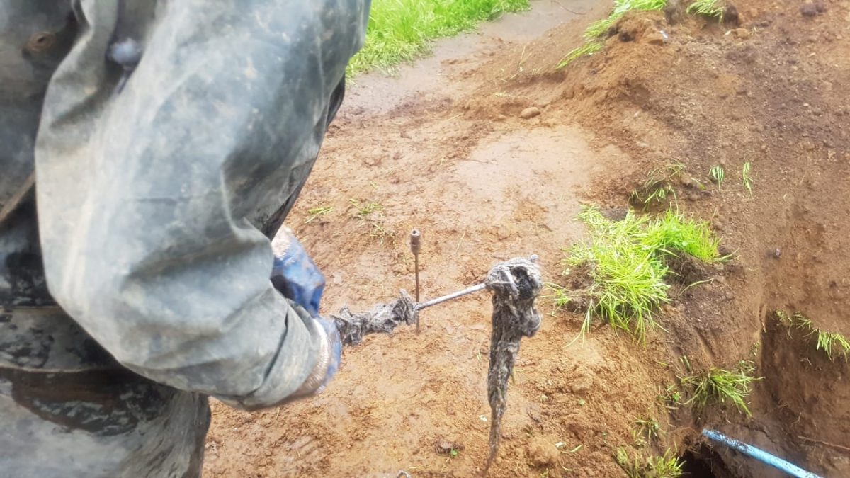 Hacer un buen uso de la red sanitaria - Diario Puerto Varas