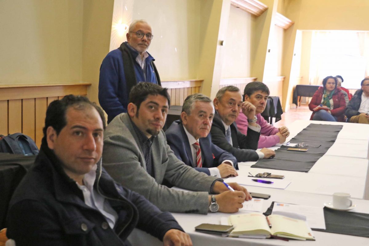Comisiones del CORE sesionaron en Puerto Varas - Diario Puerto Varas