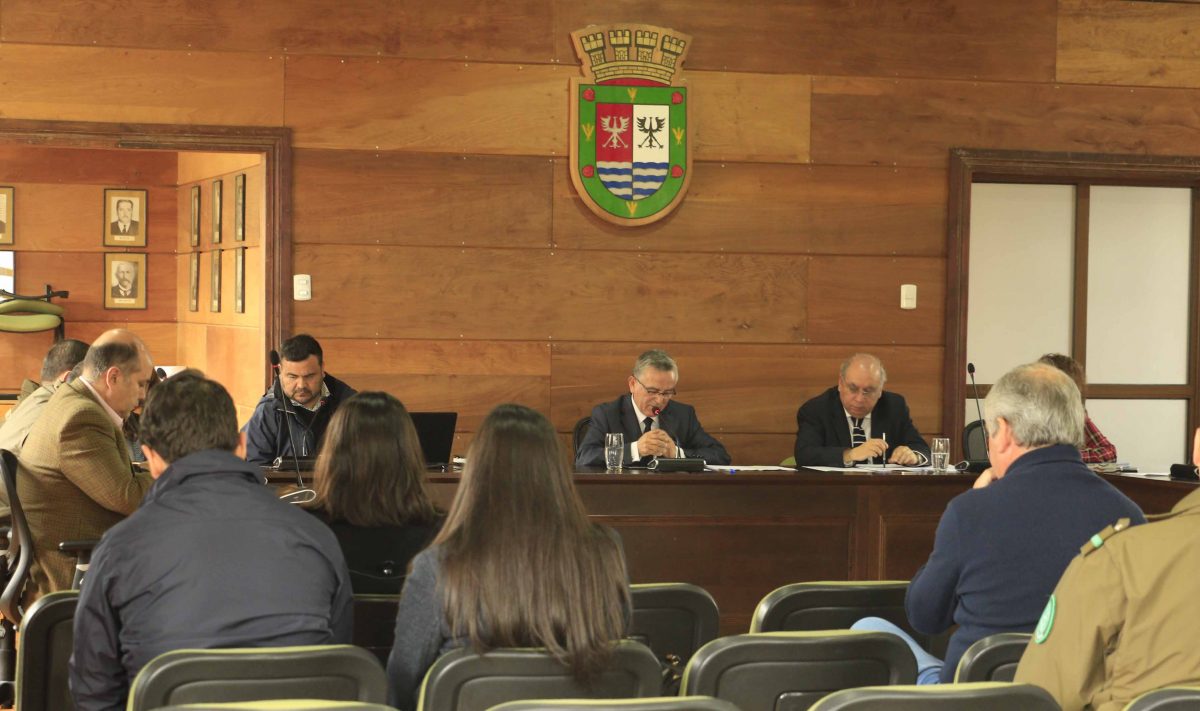 Consejo Comunal avanza en plan que favorecerá seguridad ciudadana de Puerto Varas - Diario Puerto Varas