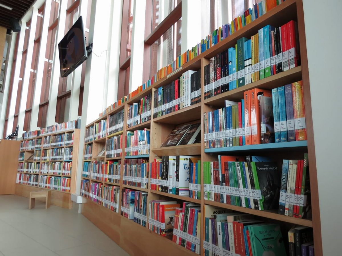Biblioteca de Frutillar presenta película Un Mundo Extraño