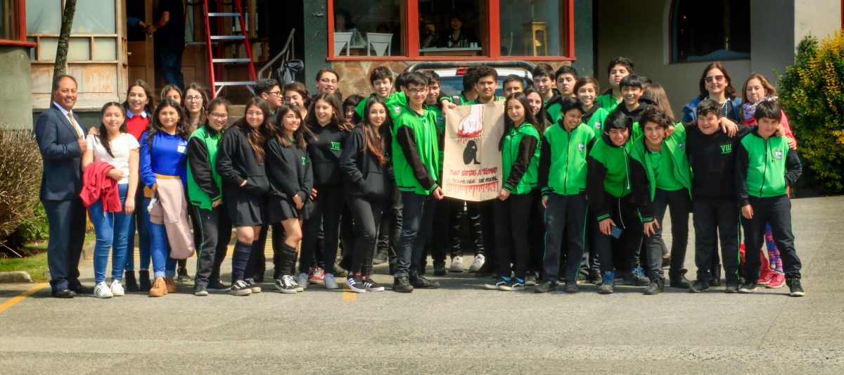 Prevención de la violencia en el pololeo - Diario Puerto Varas