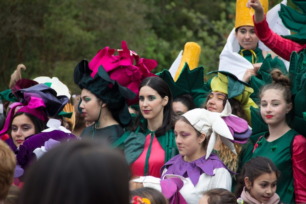 Éxito rotundo Carnaval del Sur - Diario Puerto Varas