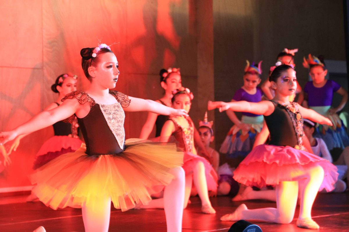 Exitosa Gala Artística de la Academia Municipal de Ballet - Diario Puerto Varas