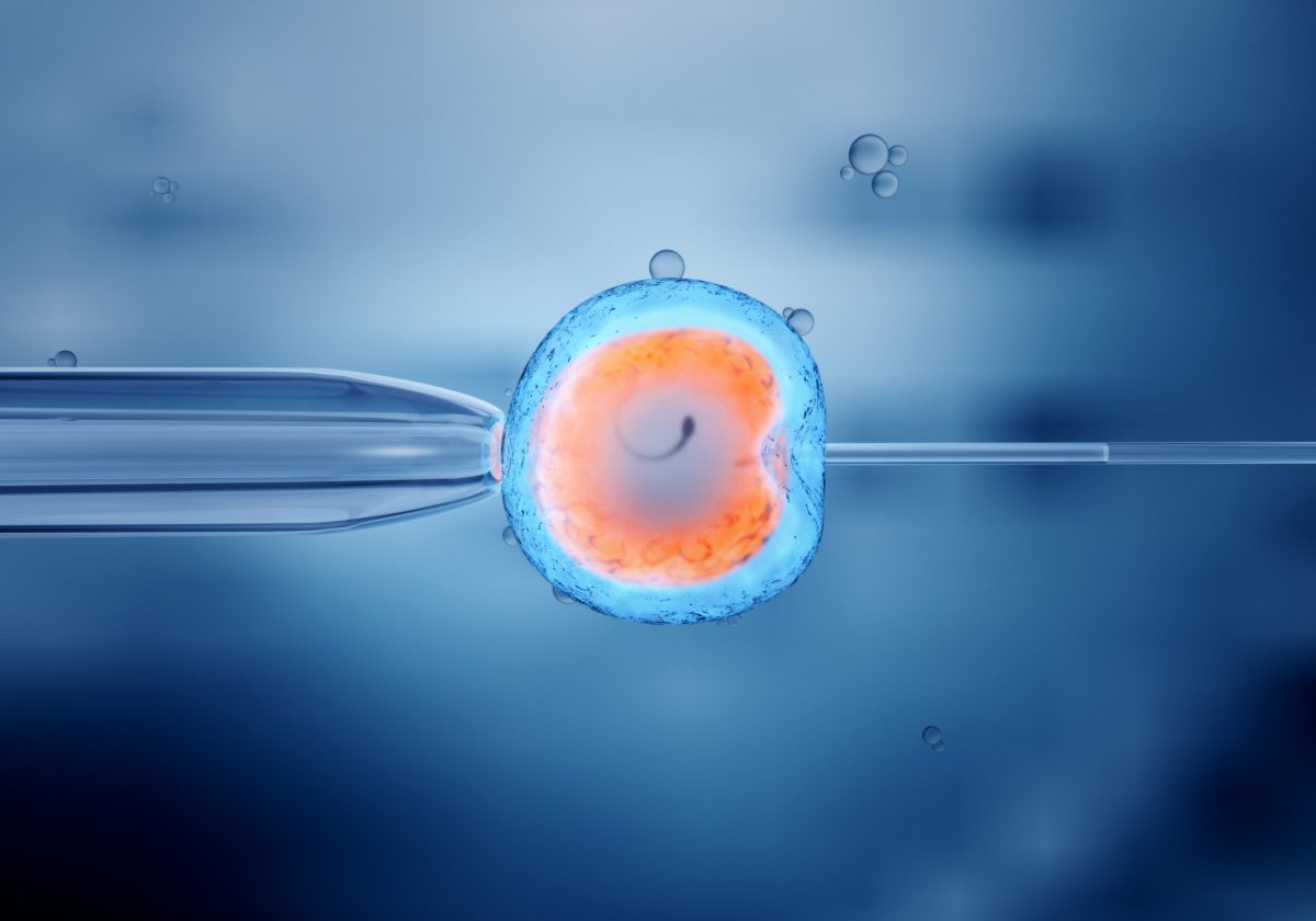 Mujeres afiliadas a Fonasa e Isapre pueden acceder a programas de fertilidad - Diario Puerto Varas