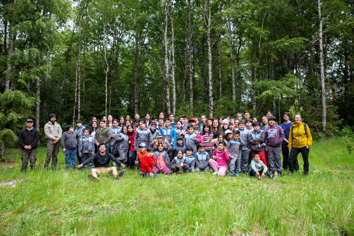 Amigos de los Parques convocó a más de 60 voluntarios en actividades en el Parque Nacional Alerce Andino - Diario Puerto Varas
