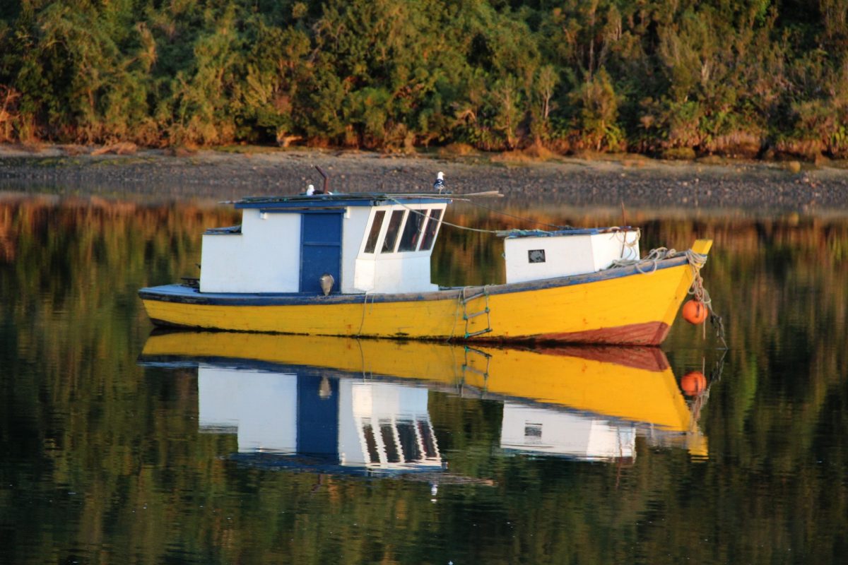 Sindicato de Pescadores de Anáhuac se suma a Consulta Ciudadana - Diario Puerto Varas