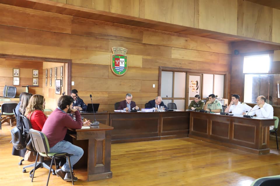 Consejo de Seguridad - Diario Puerto Varas