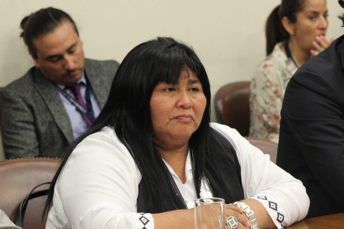 Diputada Emilia Nuyado - Diario Puerto Varas