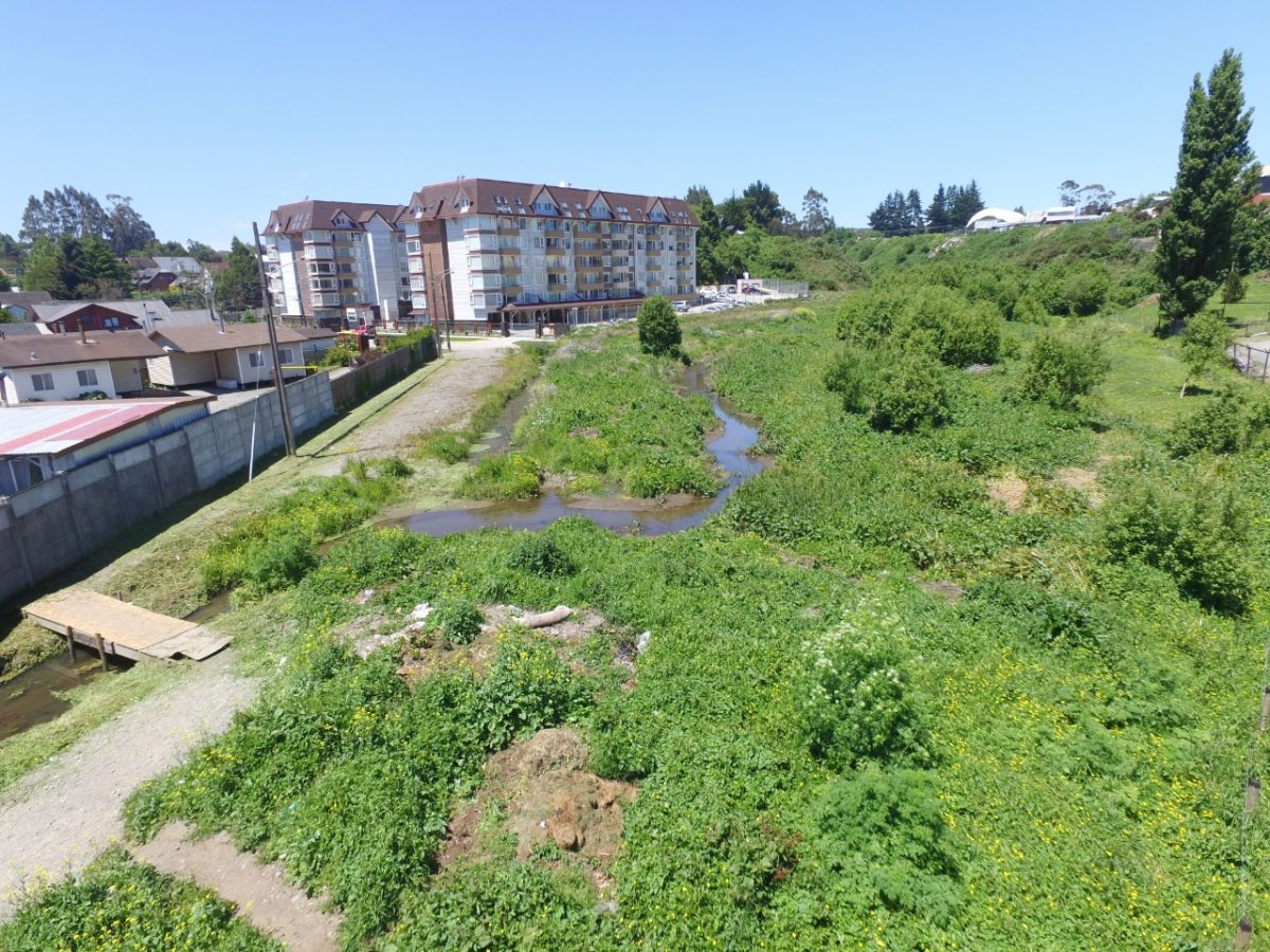 Quebrada Parque - Diario Puerto Varas