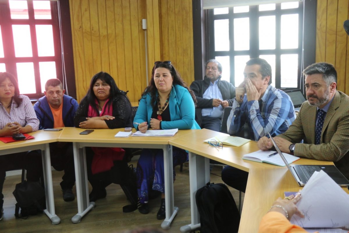 Diputada Emilia Nuyado y feriantes - Diario Puerto Varas