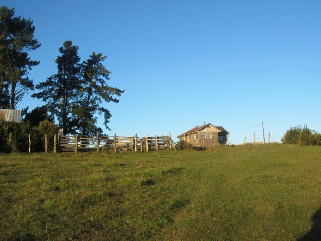 Panitao - Diario Puerto Varas