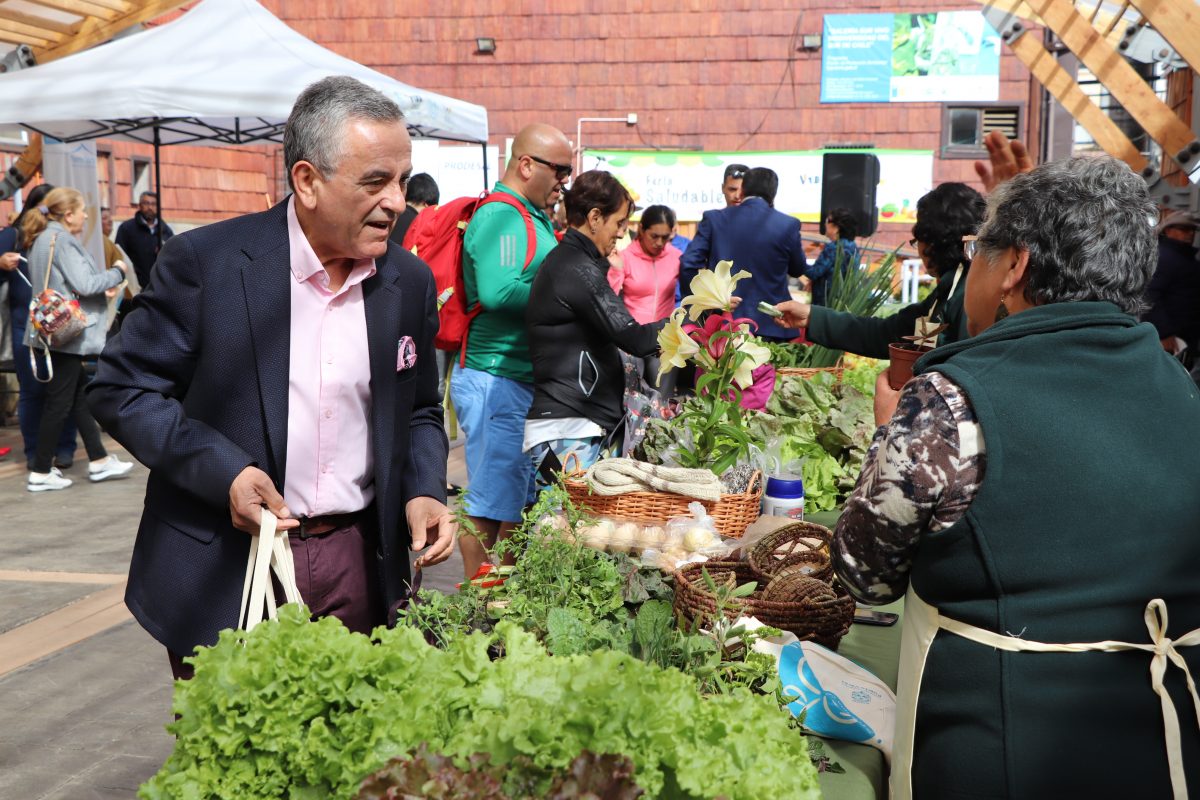 “Feria Itinerante de Alimentos Saludables” - Diario Puerto Varas
