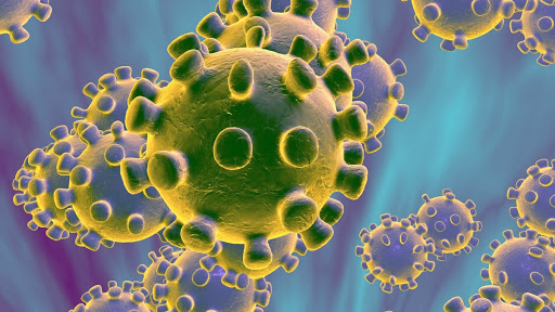 Coronavirus - Diario Puerto Varas