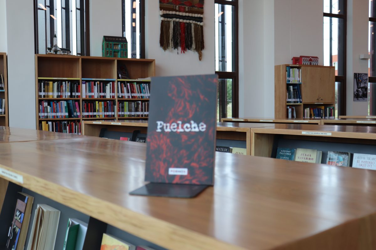 Libro Puelche - Diario Puerto Varas