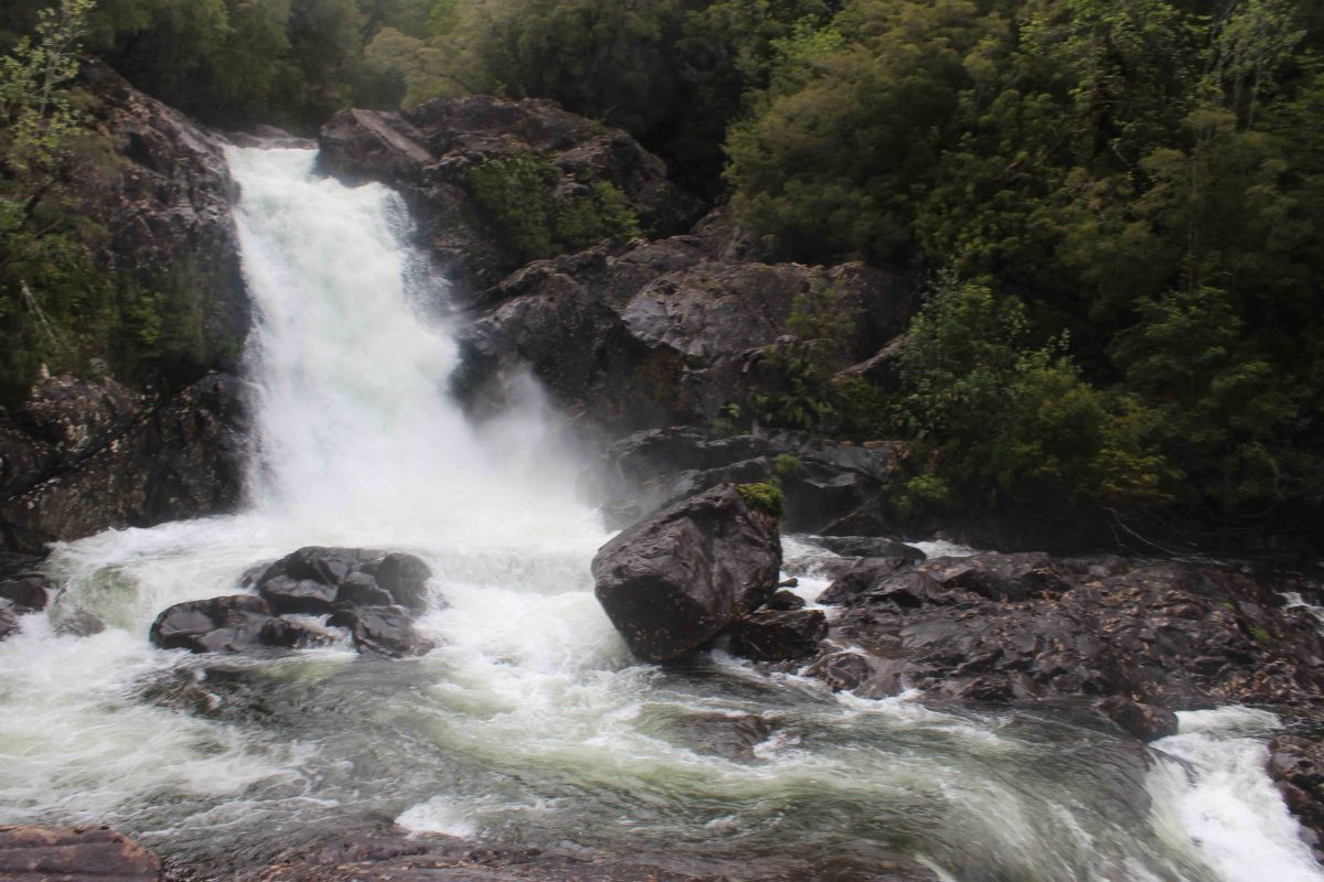Parque Alerce Andino - Diario Puerto Varas