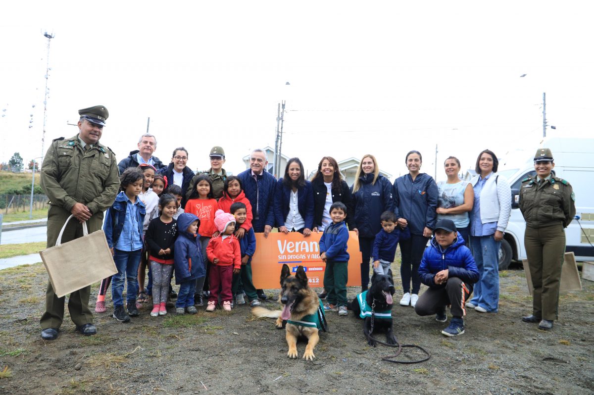 Villa Alto Esperanza - Puerto Varas - Diario Puerto Varas
