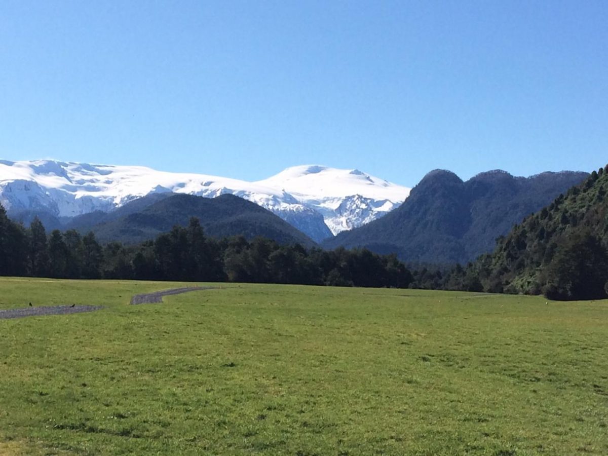 Foto: Nadine Campbell El Amarillo - Diario Puerto Varas