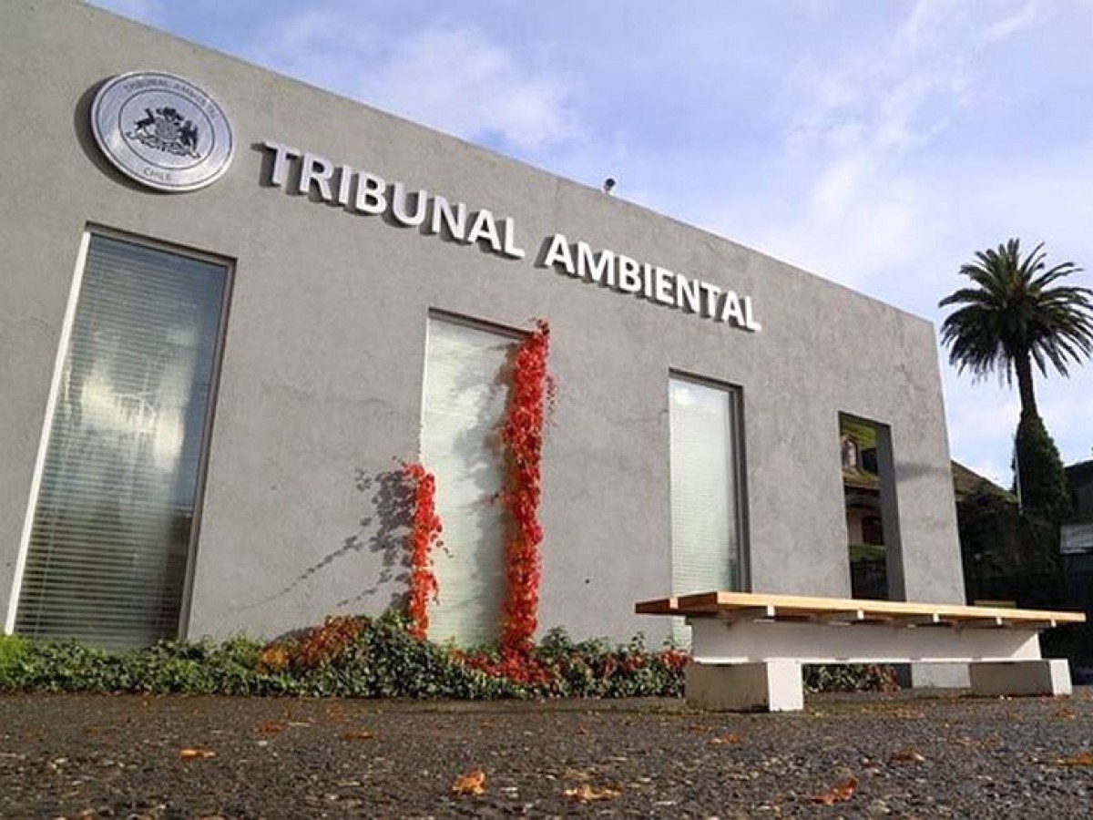 Tercer Tribunal Ambiental de Valdivia - Diario Puerto Varas