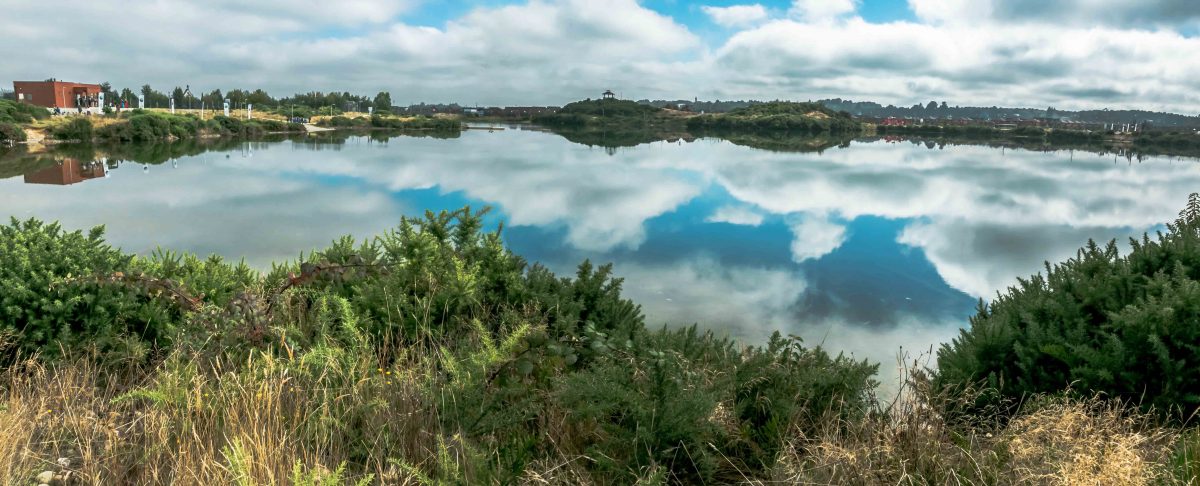 Panorámica Parque Ebel - Diario Puerto Varas