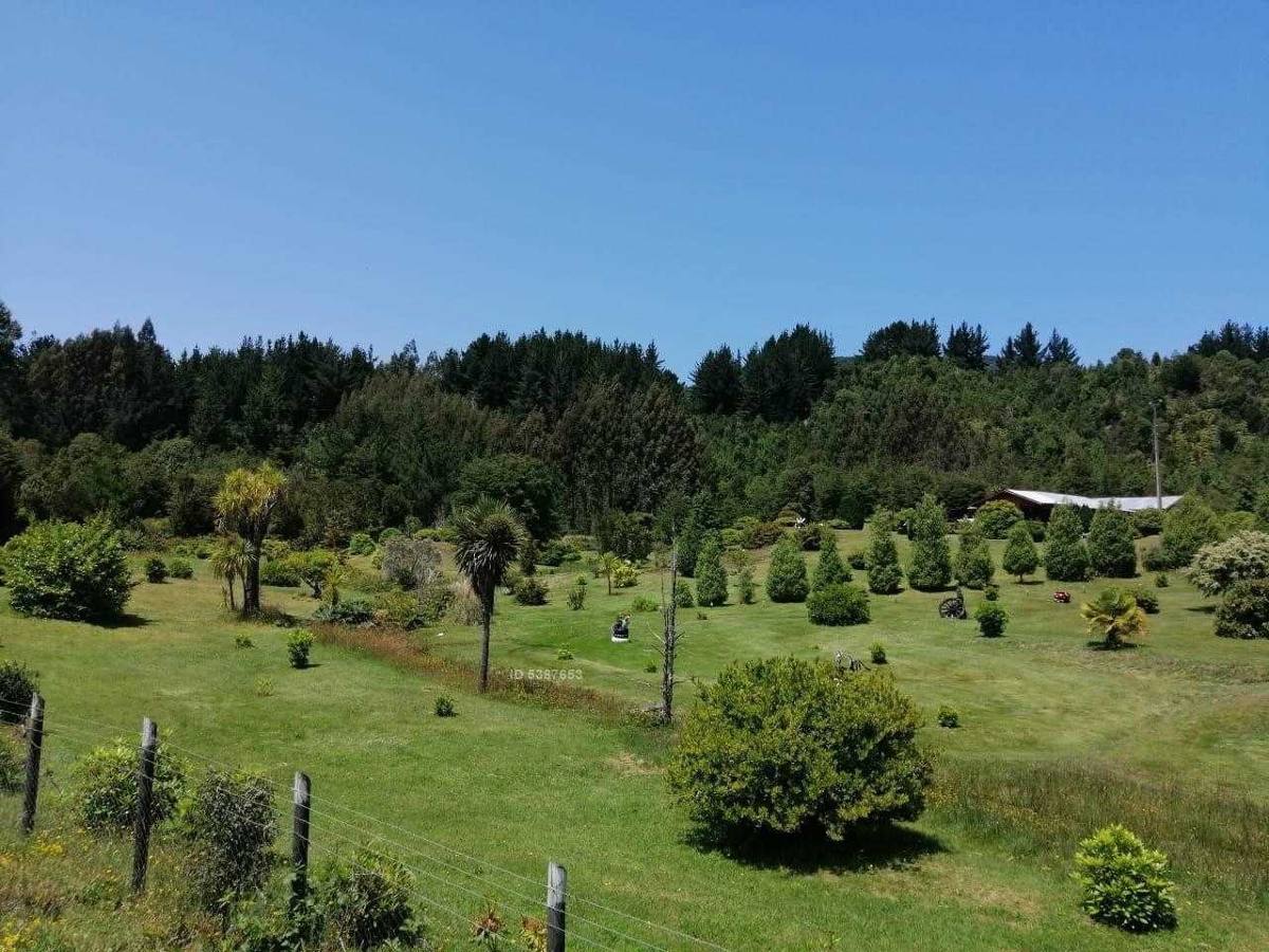 San Juan de la Costa - Diario Puerto Varas