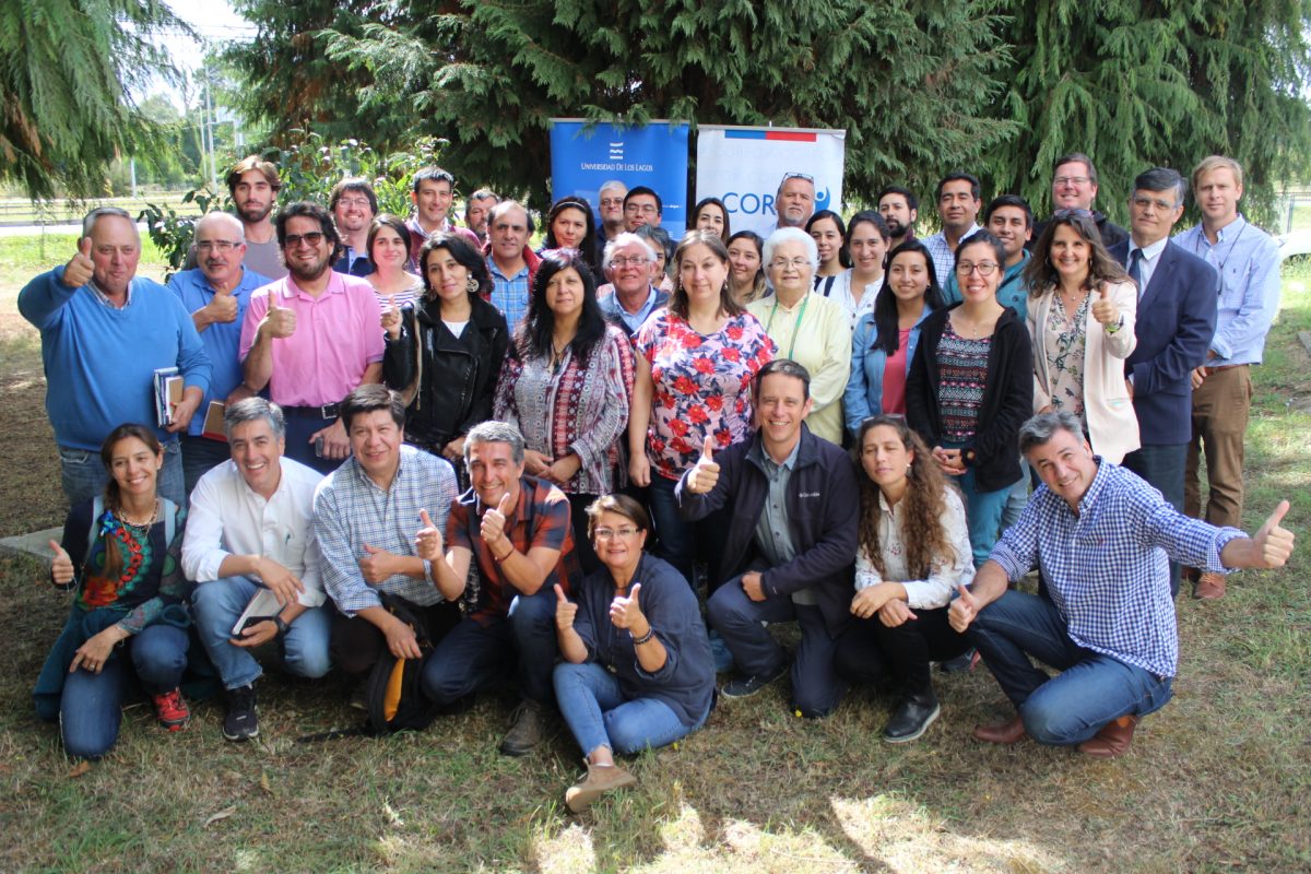 Programa Territorial Integrado de la Leche, articulado por CORFO - Diario Puerto Varas