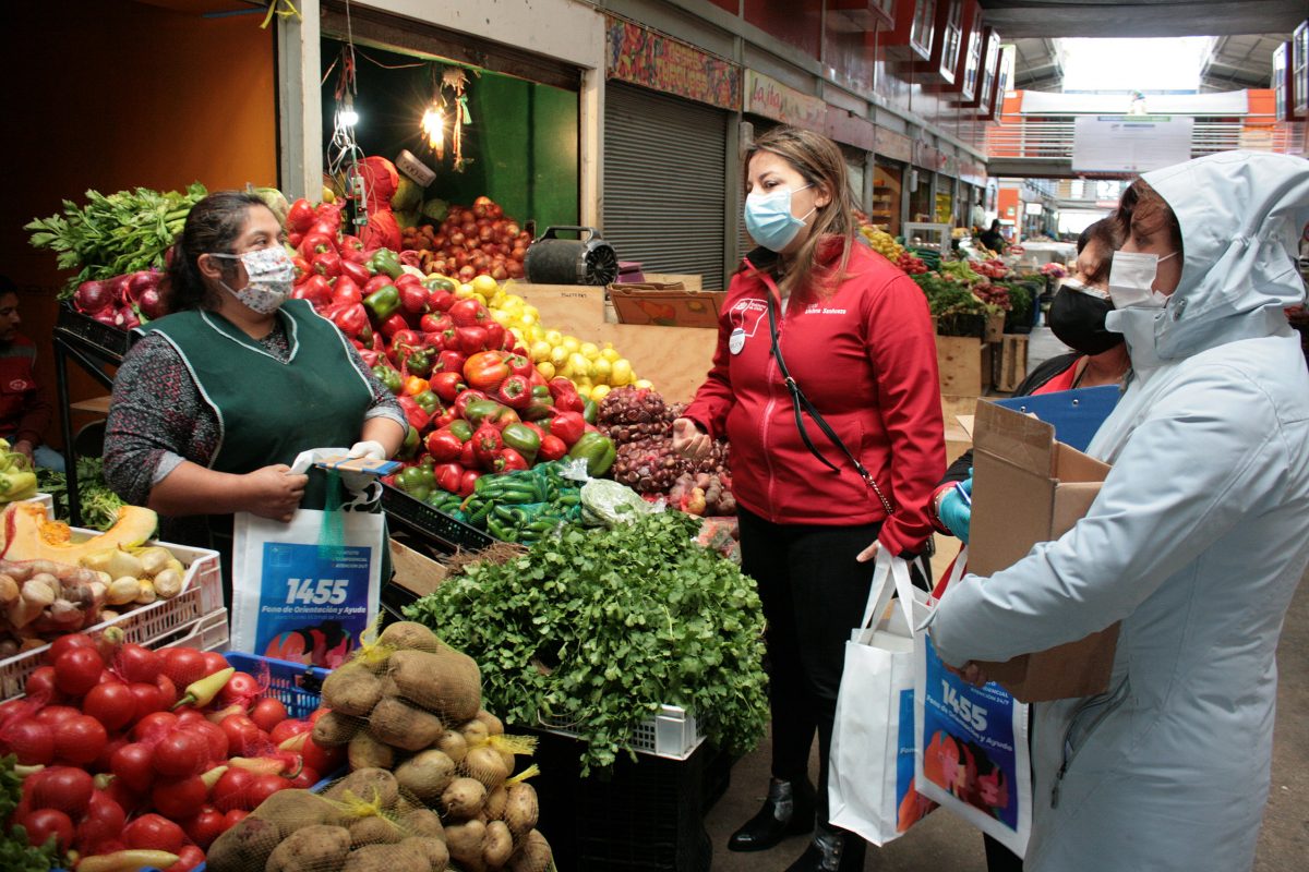 Mercado Presidente Ibáñez de Puerto Montt - Diario Puerto Varas