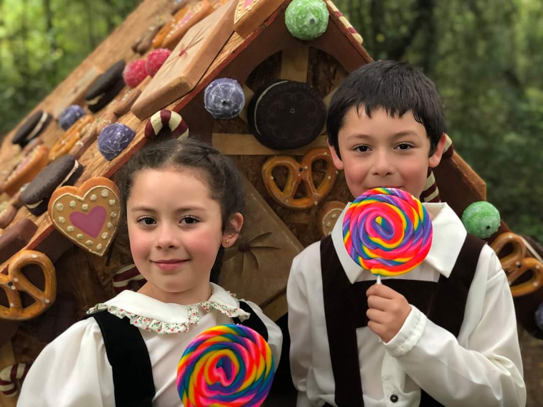 Carnaval del Sur lanza campaña “Donde Juego uno juegan dos” - Diario Puerto Varas