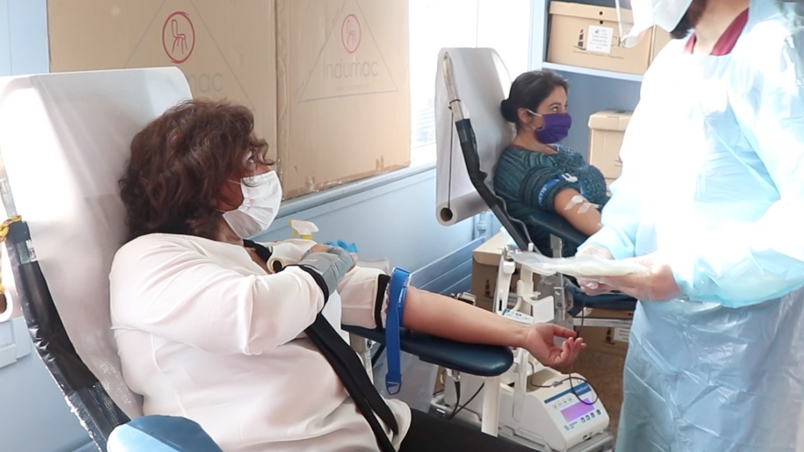 Donación de sangre - Diario Puerto Varas
