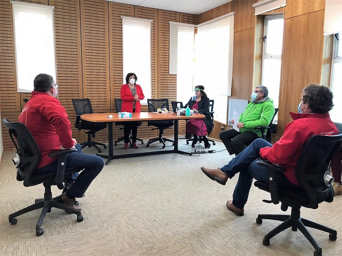 Herramienta virtual de asistencia laboral para adultos mayores y discapacitados - Diario Puerto Varas