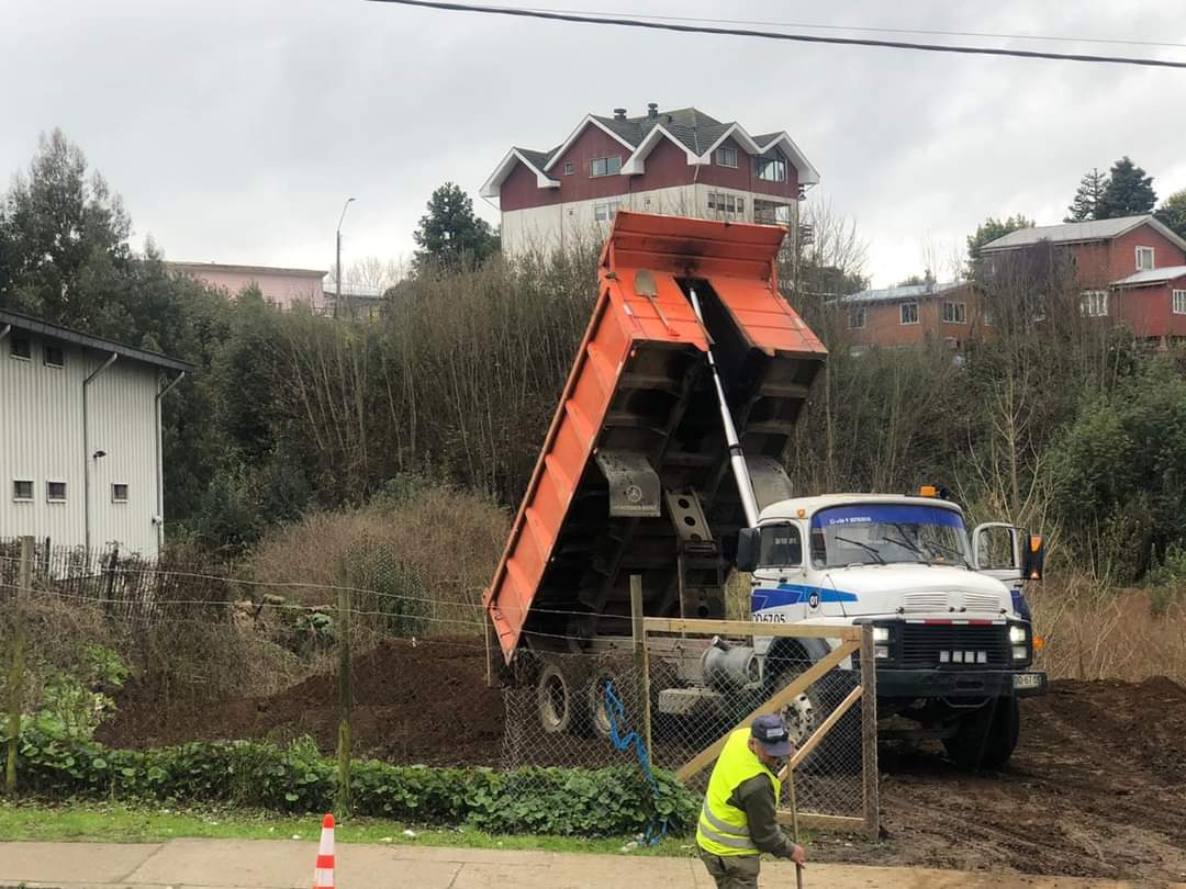 Humedal de calle Gramado en Puerto Varas