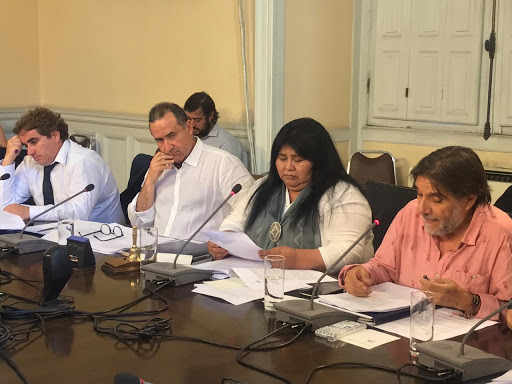 Diputada Emilia Nuyado - Diario Puerto Varas