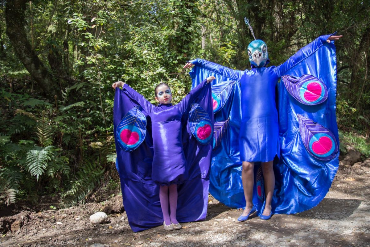 Carnaval del Sur