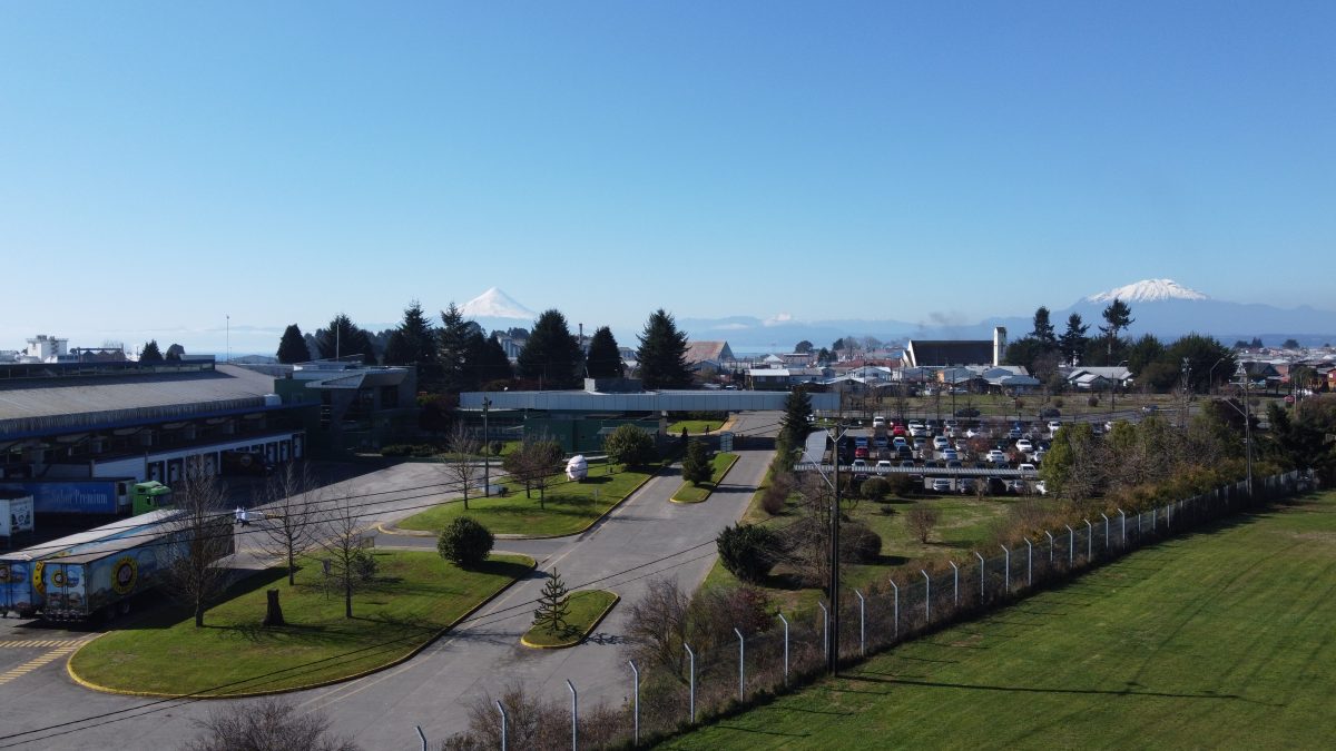 Cecinas Llanquihue