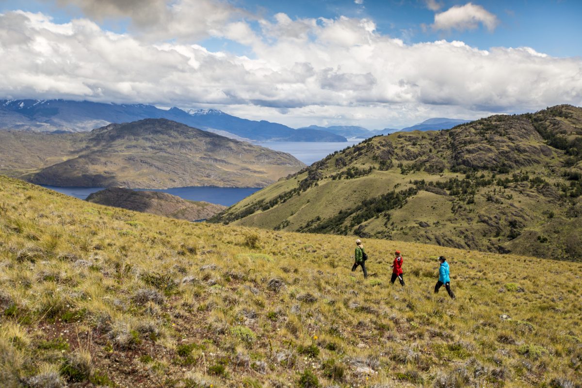 Rewilding Chile