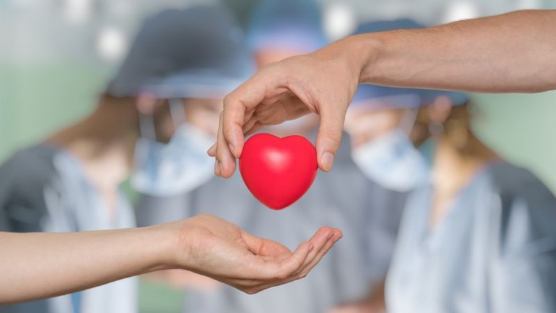 donación de órgano