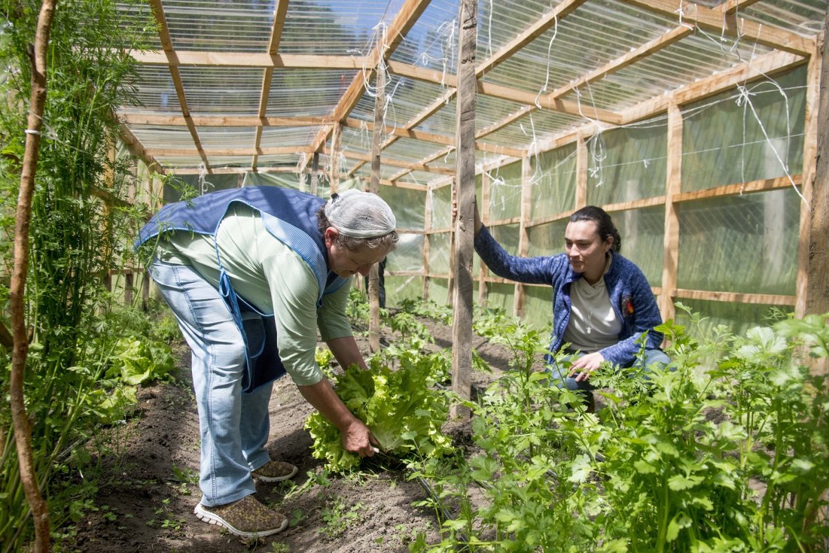 agricultura sustentable