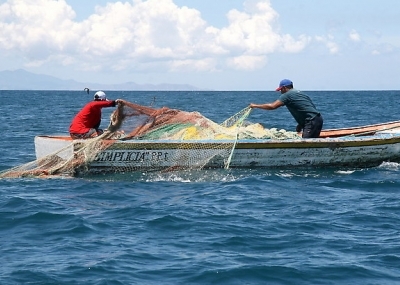 comisión de pesca