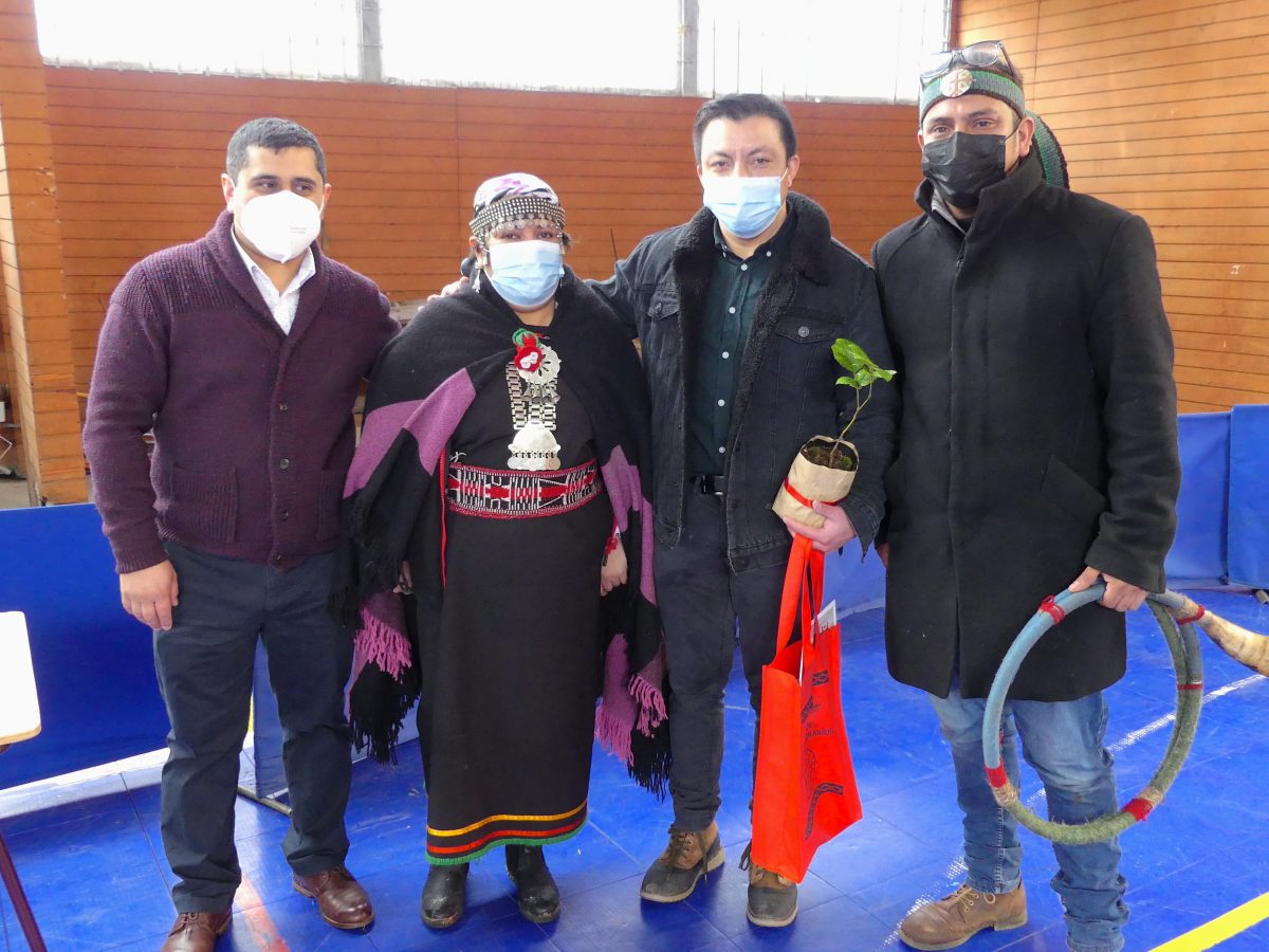 Mujer mapuche williche