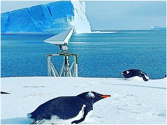 Base Antártica del Ejército inicia la primavera con el regreso de fauna