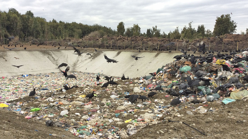 Vertedero Puntra El Roble de Ancud