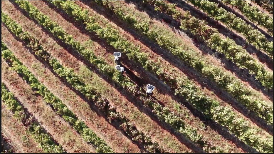 Viña Concha y Toro