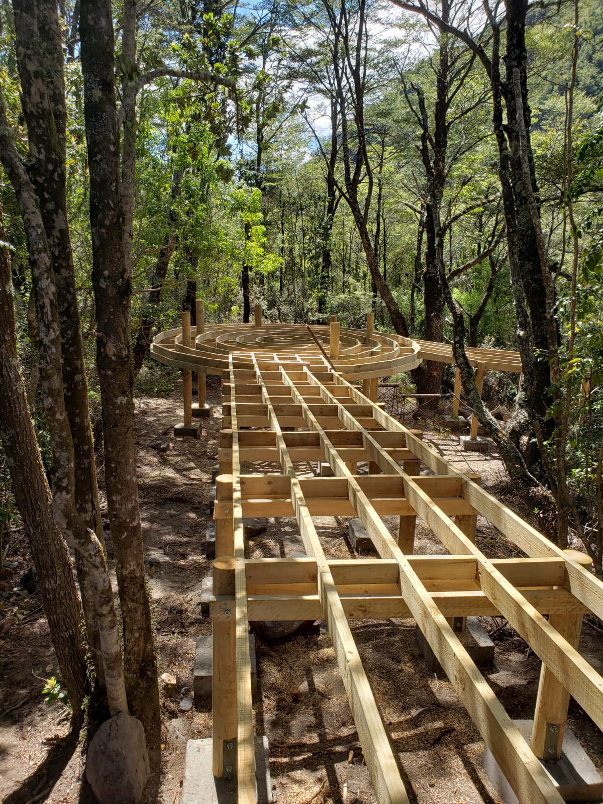 Sendero en Parque Nacional Vicente Pérez Rosales se hará con material reciclado