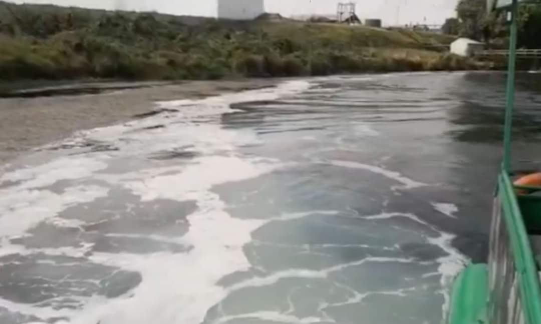 Contaminación del río Maullín preocupa a la comunidad