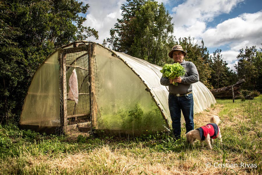 imagen de Cristián Rivas - Con éxito finaliza ciclo de eventos virtuales sobre la Ruta de los Parques de la Patagonia