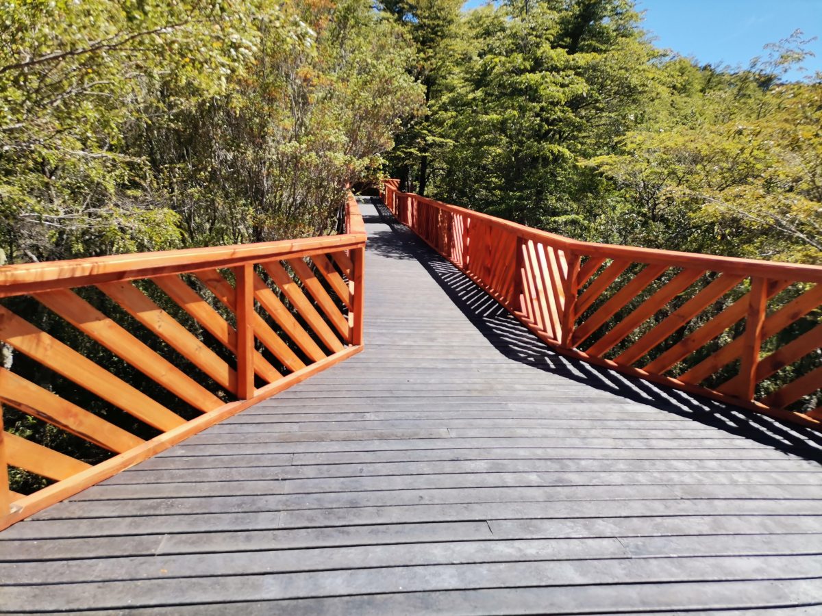 Sendero-mirador con material reciclado es inaugurado en Parque Vicente Pérez Rosales